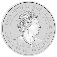 Second Hand 1kg Silver Coin