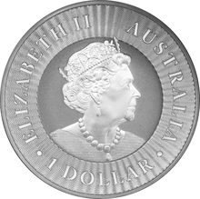2019 Australian Kangaroo Silver Coin 1oz
