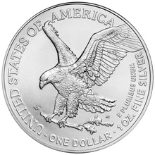 2024 American Silver Eagle Coin 1oz