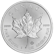2019 Canadian Silver Maple Leaf Coin 1oz
