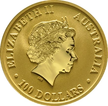 2017 1oz Australian Kangaroo Gold Nugget Coin