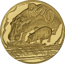 2005 1/4oz Natura Hippopotamus Gold Coin