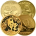 3g Chinese Panda Gold Coin 2016-Present Best Value