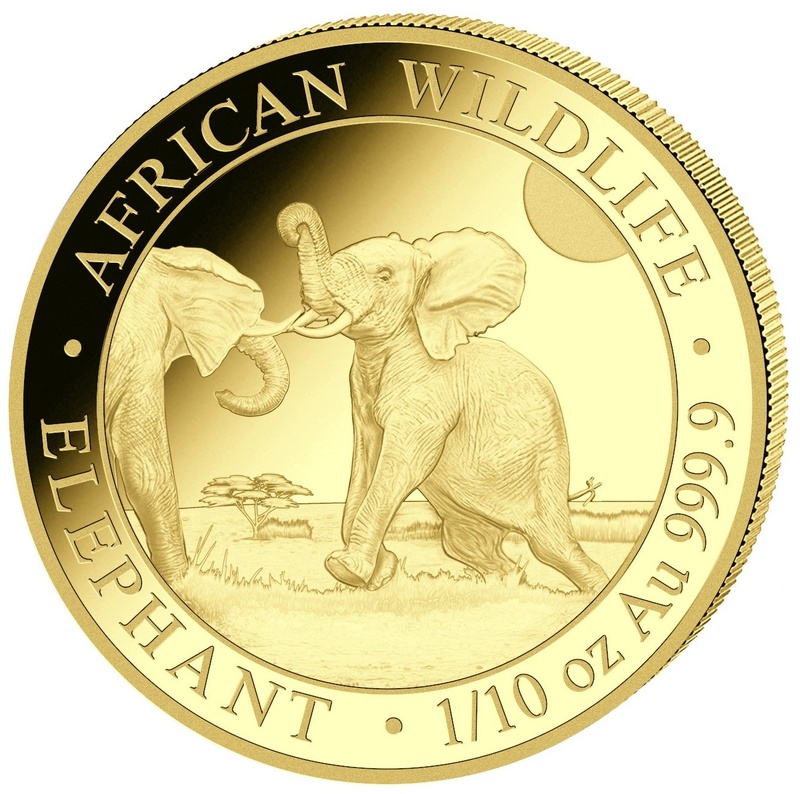 2024 1/10oz African Wildlife Elephant Gold Coin