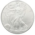 1999 1oz American Eagle Silver Coin