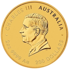 2025 Year of the Snake Gold Coin 2oz Perth Mint Australian Lunar Series