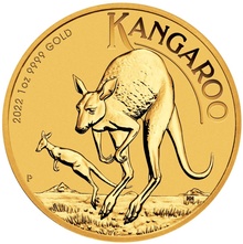 2022 1oz Australian Kangaroo Gold Nugget Coin