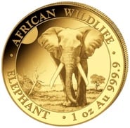2025 1oz African Wildlife Elephant Gold Coin