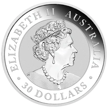 2019 Australian Koala Silver Coin 1kg