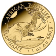 2023 1oz African Wildlife Elephant Gold Coin