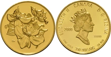 2000 Proof $350 Gold Coin Tree In Bloom Canadian Mint Boxed