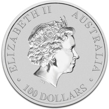 2012 1oz Platinum Platypus