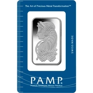 100g Platinum Bars