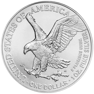 2026 American Silver Eagle Coin 1oz