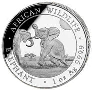 2024 1oz African Wildlife Elephant Silver Coin