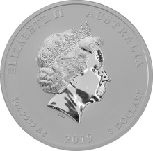 Grade B 5oz Silver Coin