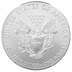 2013 1oz American Eagle Silver Coin NGC MS69