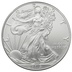 2019 1oz American Eagle Silver Coin