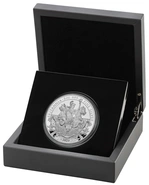 2023 Proof 5oz Silver Britannia Coin Boxed