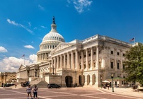 Market malaise and Dollar dips as USA heads into Midterms