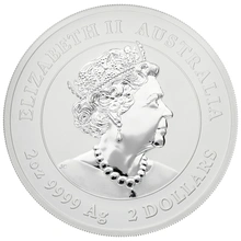 2020 Year of the Mouse Silver Coin 2oz Perth Mint Australian Lunar Series