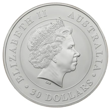 2012 Australian Koala Silver Coin 1kg