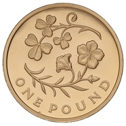 Gold Proof 2014 £1 One Pound Northern Ireland Floral
