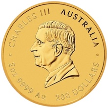 2025 Year of the Snake Gold Coin 2oz Perth Mint Australian Lunar Series