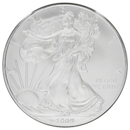 2009 American Silver Eagle Coin 1oz