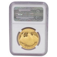2010 Proof American Buffalo Gold Coin 1oz NCG PF70