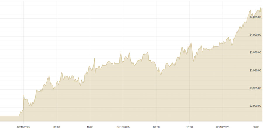 081025 USD Chart