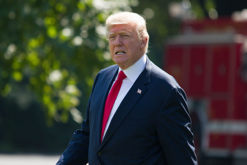 Trump garden