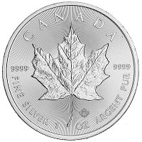 Silver Maple