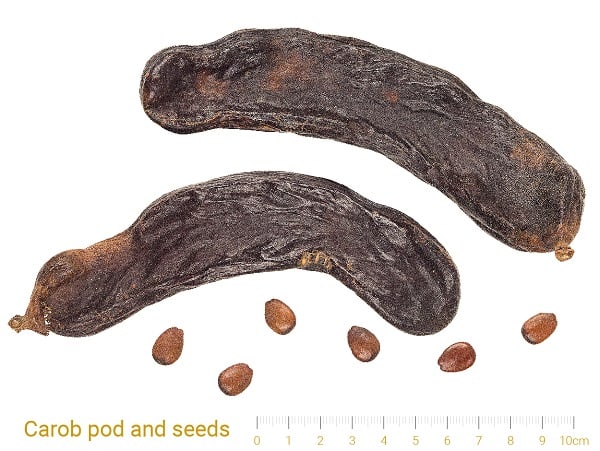 carab seeds