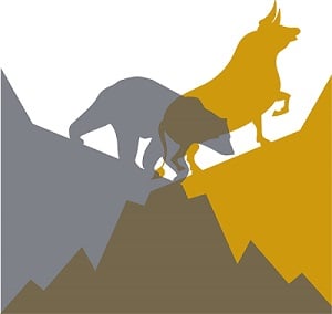 A bull gold market with a bear stock market.