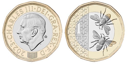 New One Pound Coin